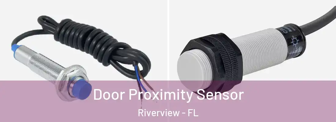 Door Proximity Sensor Riverview - FL