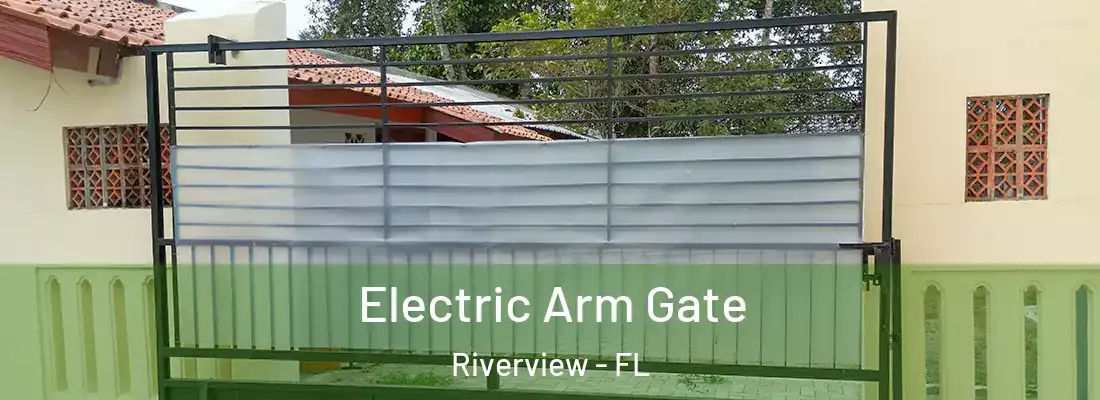  Electric Arm Gate Riverview - FL