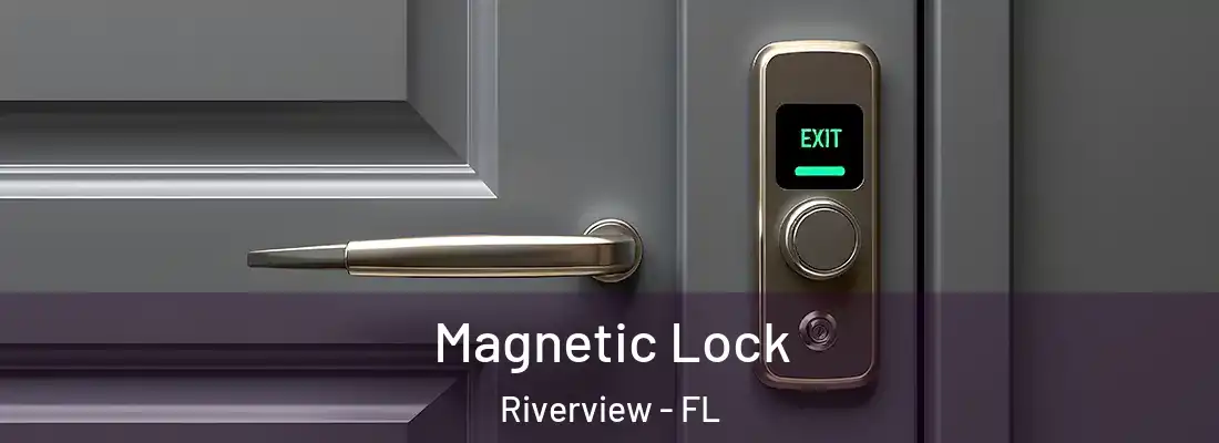 Magnetic Lock Riverview - FL