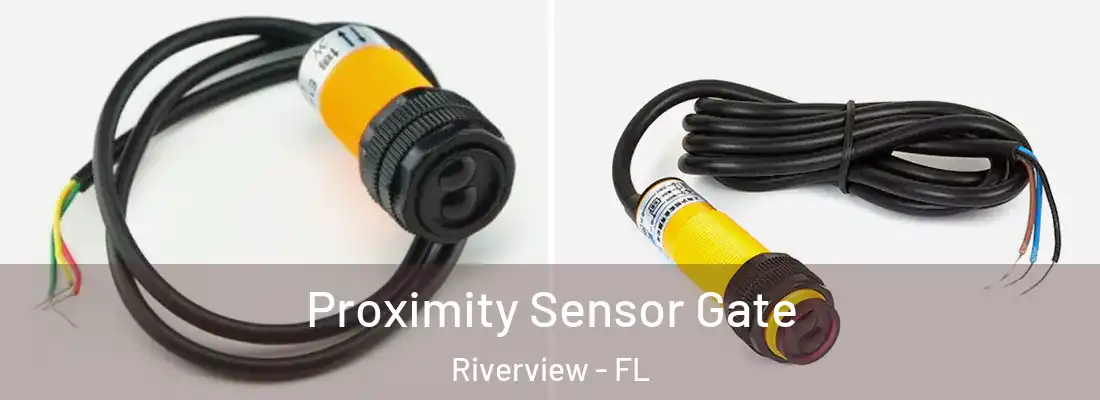 Proximity Sensor Gate Riverview - FL