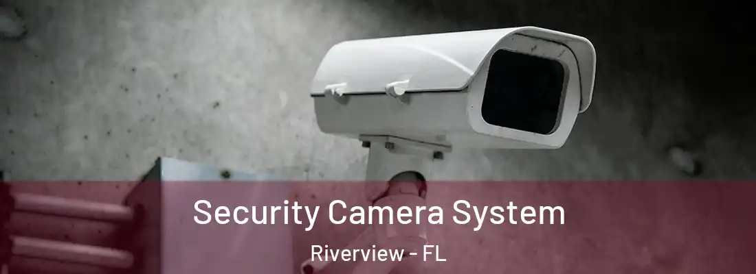 Security Camera System Riverview - FL