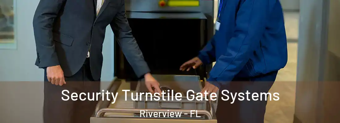 Security Turnstile Gate Systems Riverview - FL